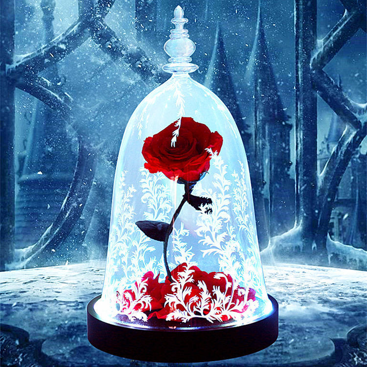 Enchanted rose