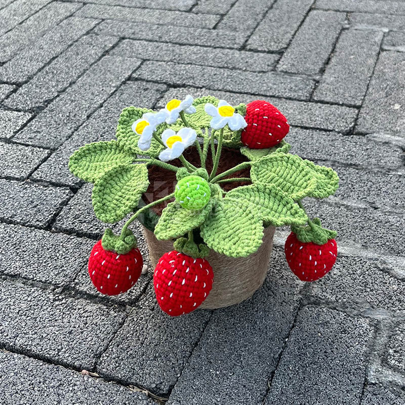 the 'strawberry pot'